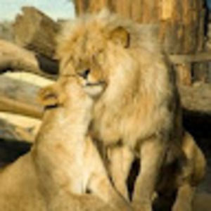 Meet your Posher, Taneika